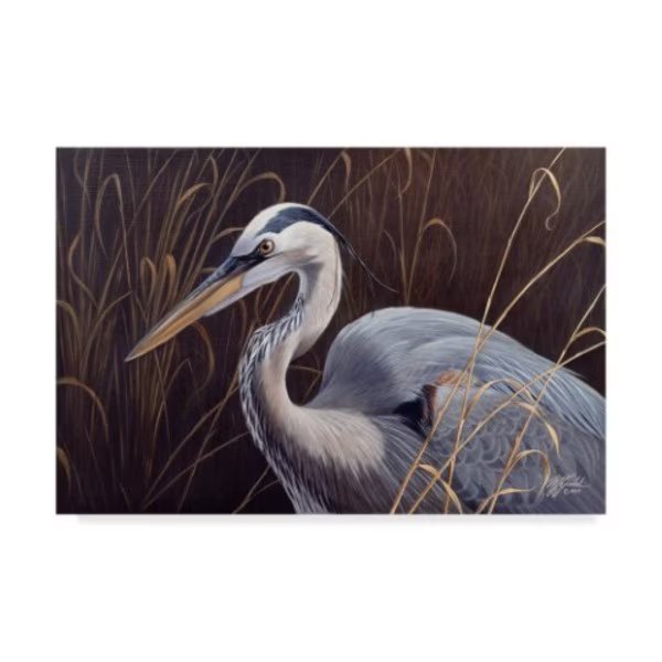 Wilhelm Goebel 'Great Blue Heron' Canvas Art, 16x24, Trademark Fine Art, Mfr#: ALI33800-C1624GG